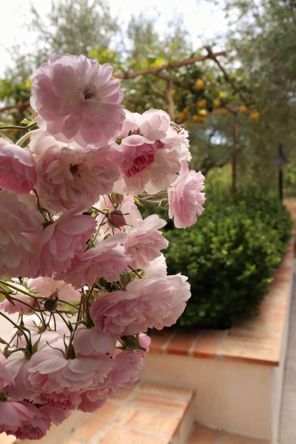 Villa Rosada Palinuro Esterno foto